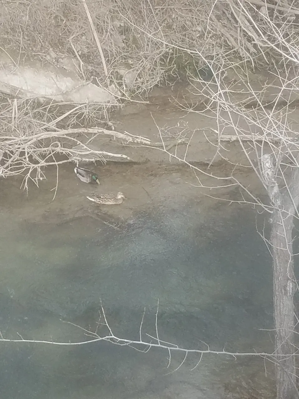 20180323_175139.jpg