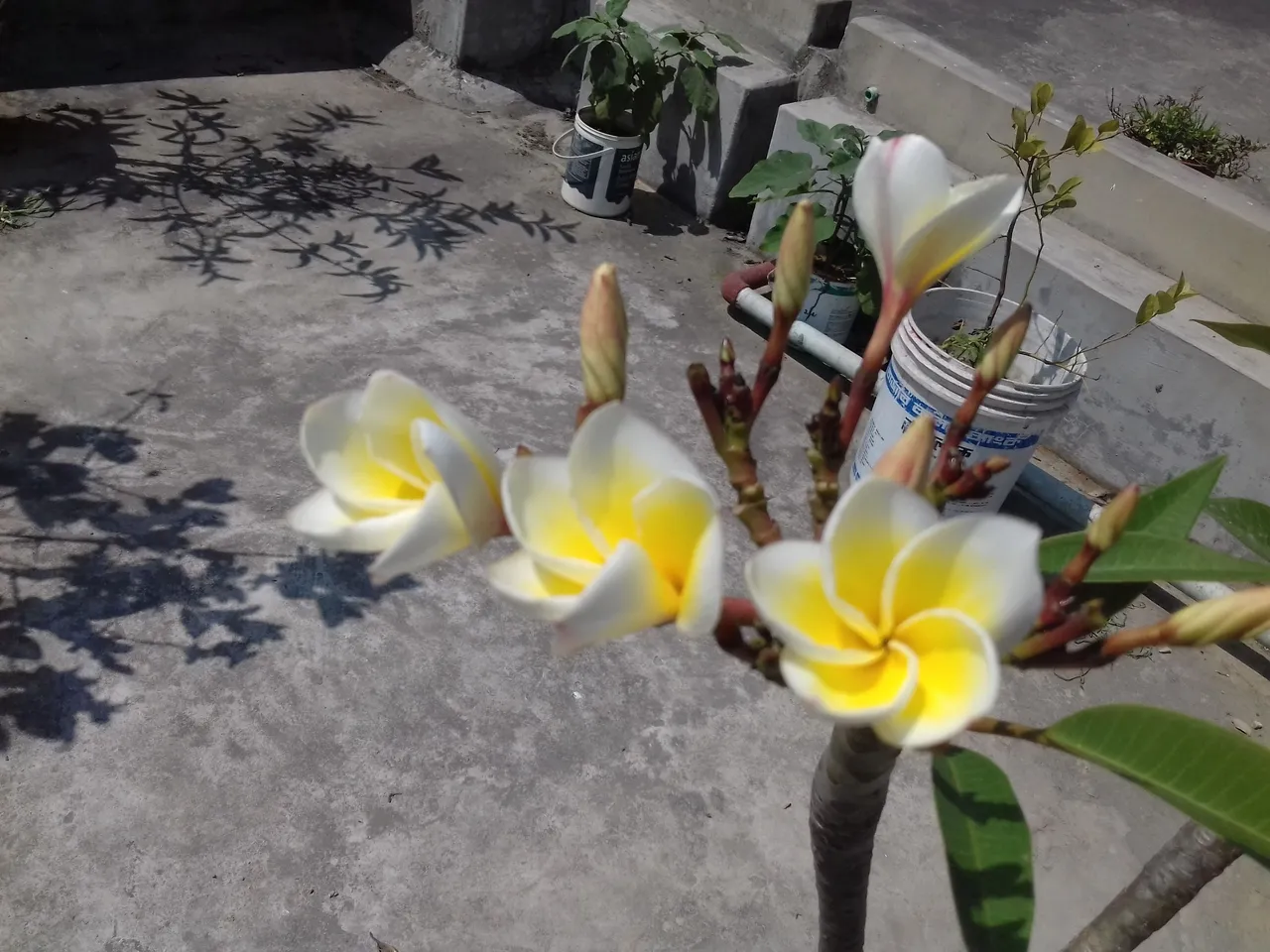 20180321_132432.jpg