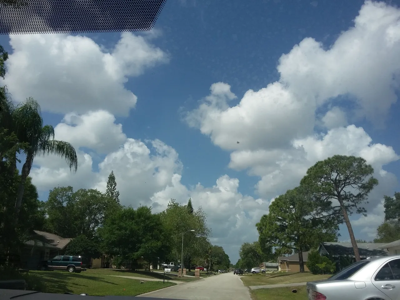 20170416_114207.jpg