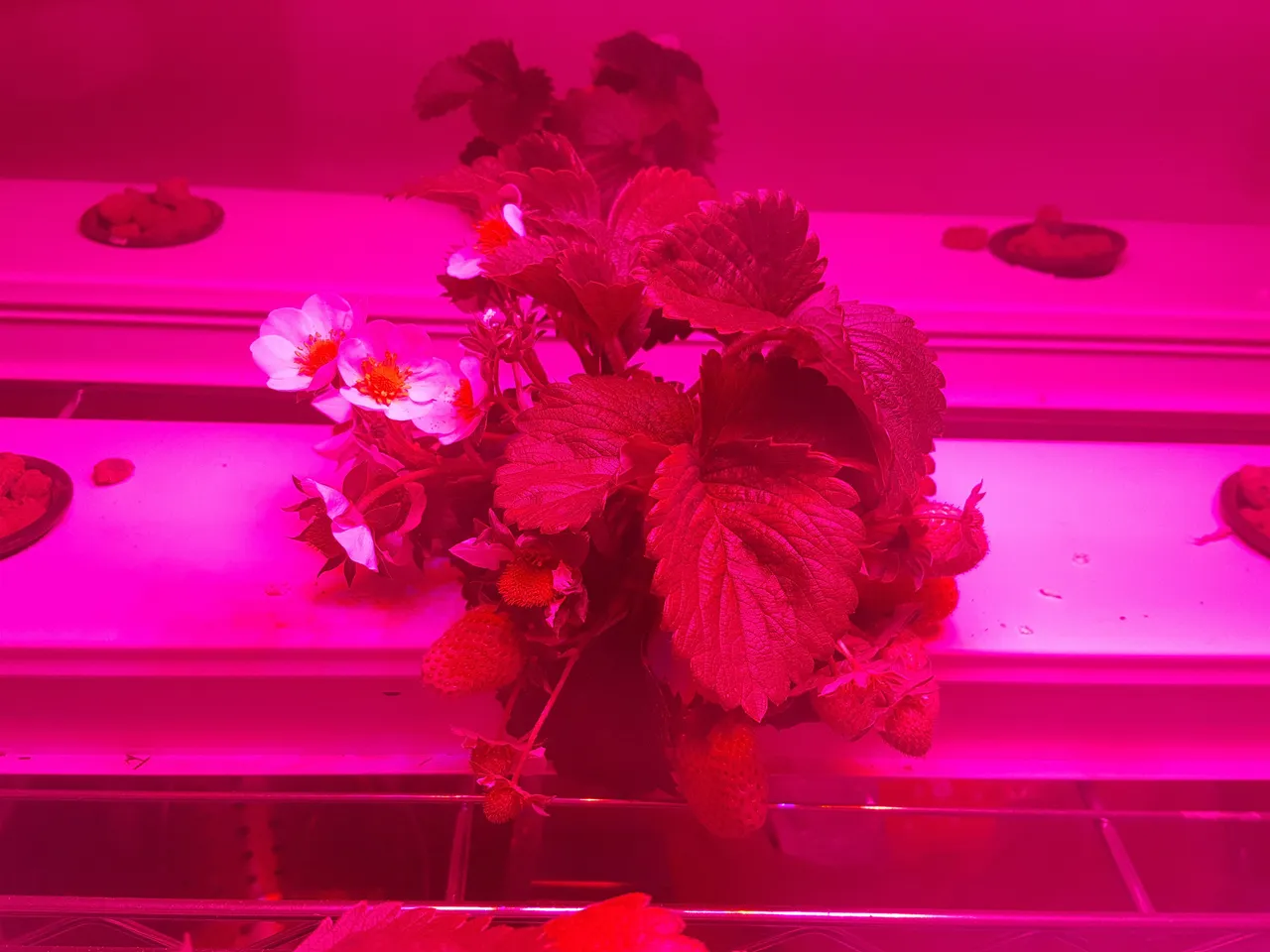 20180416_232602.jpg