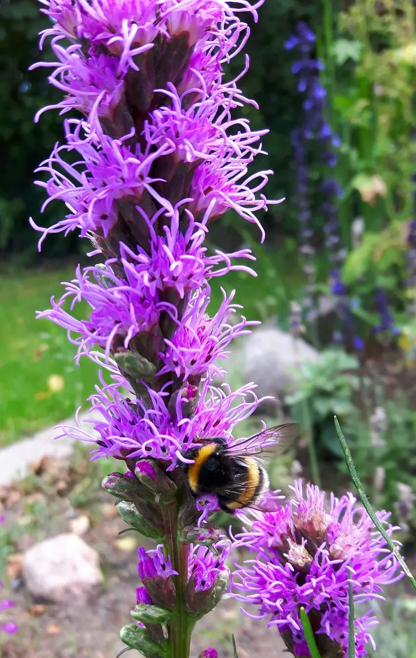 20170806_181835.jpg