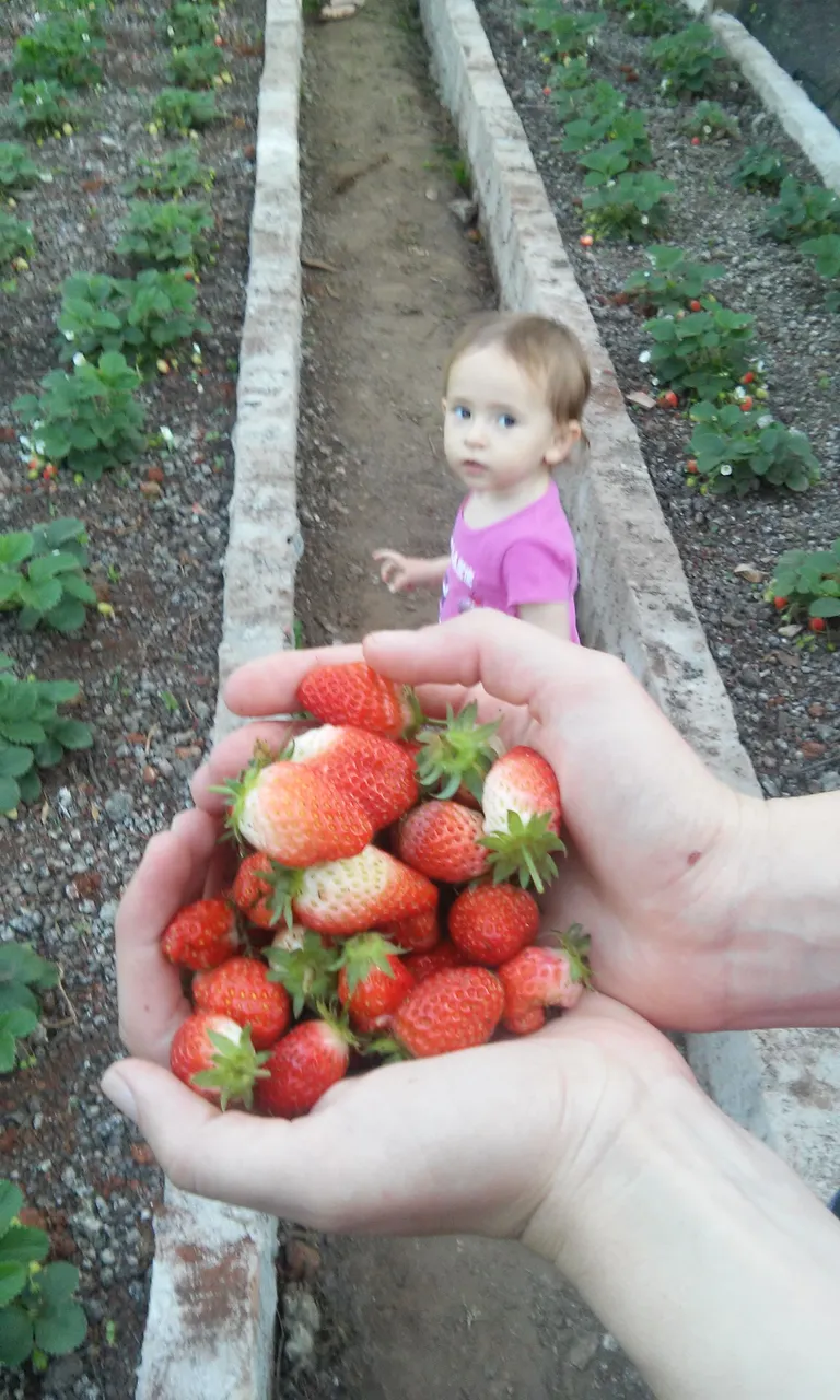 20160925_172605.jpg