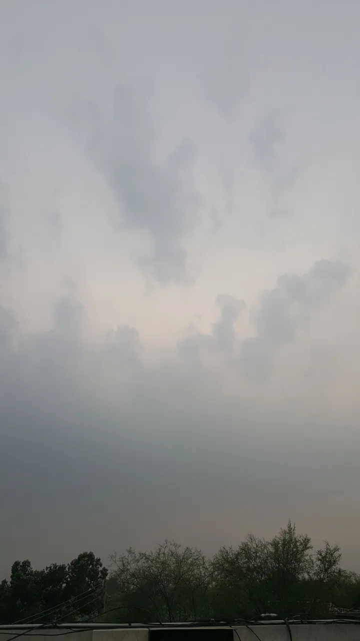 20170627_175534.jpg
