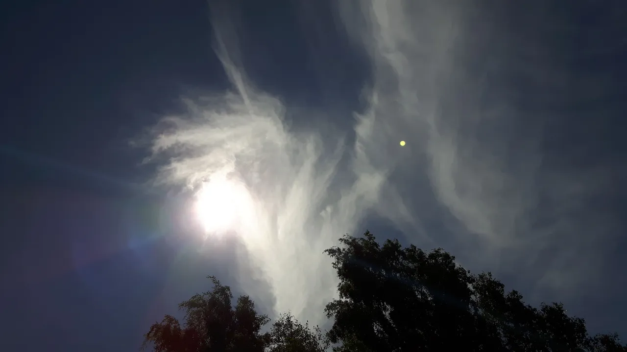 20170709_135948.jpg