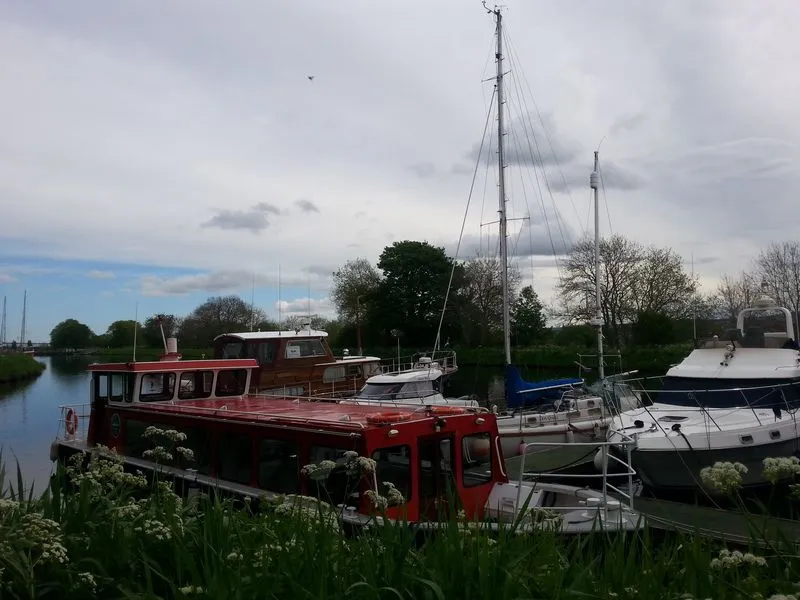 20170521_094507.jpg