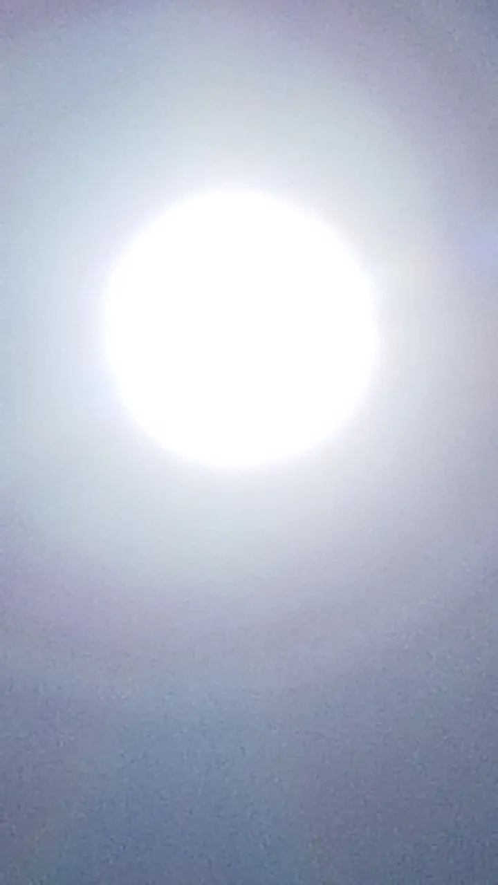 20180303_150351.jpg