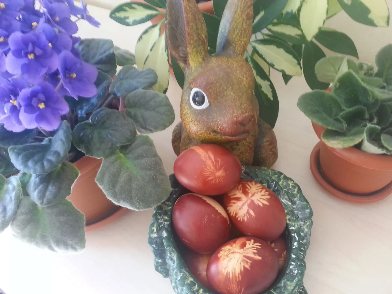 20170414_103929.jpg