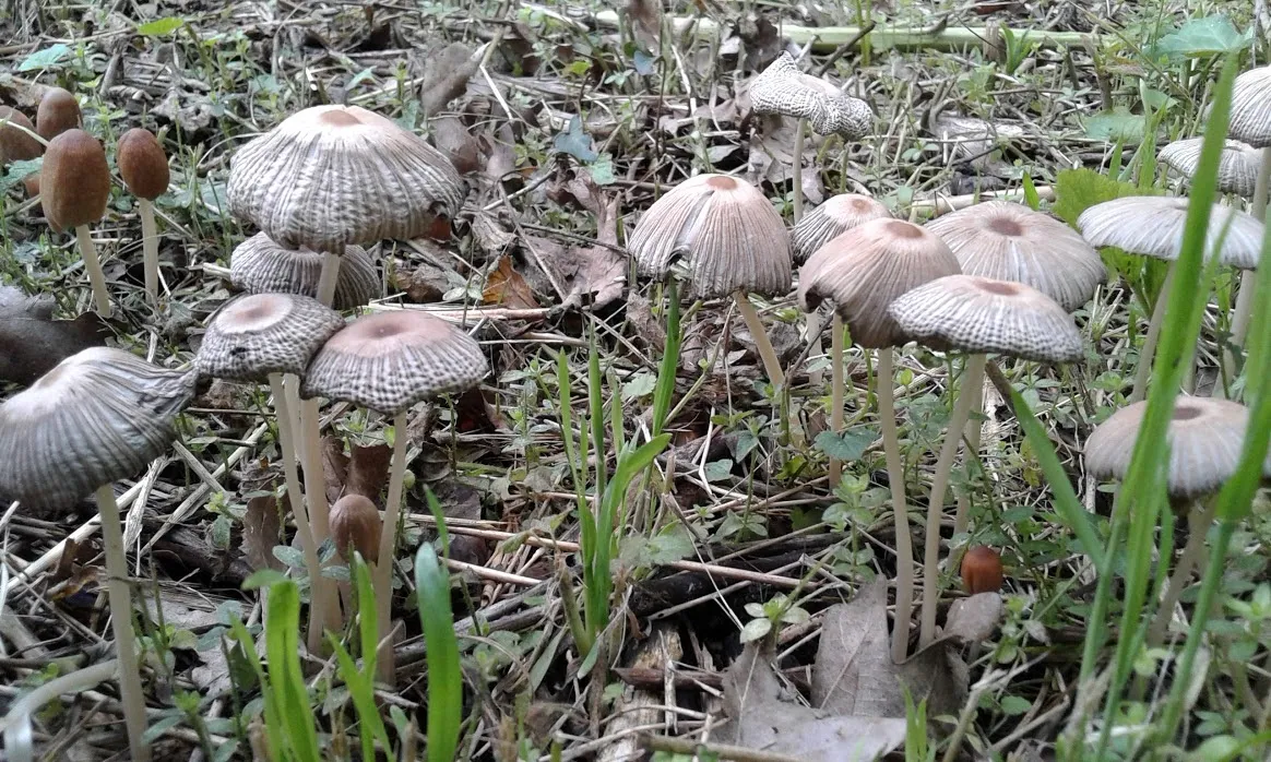 20160515_165251.jpg