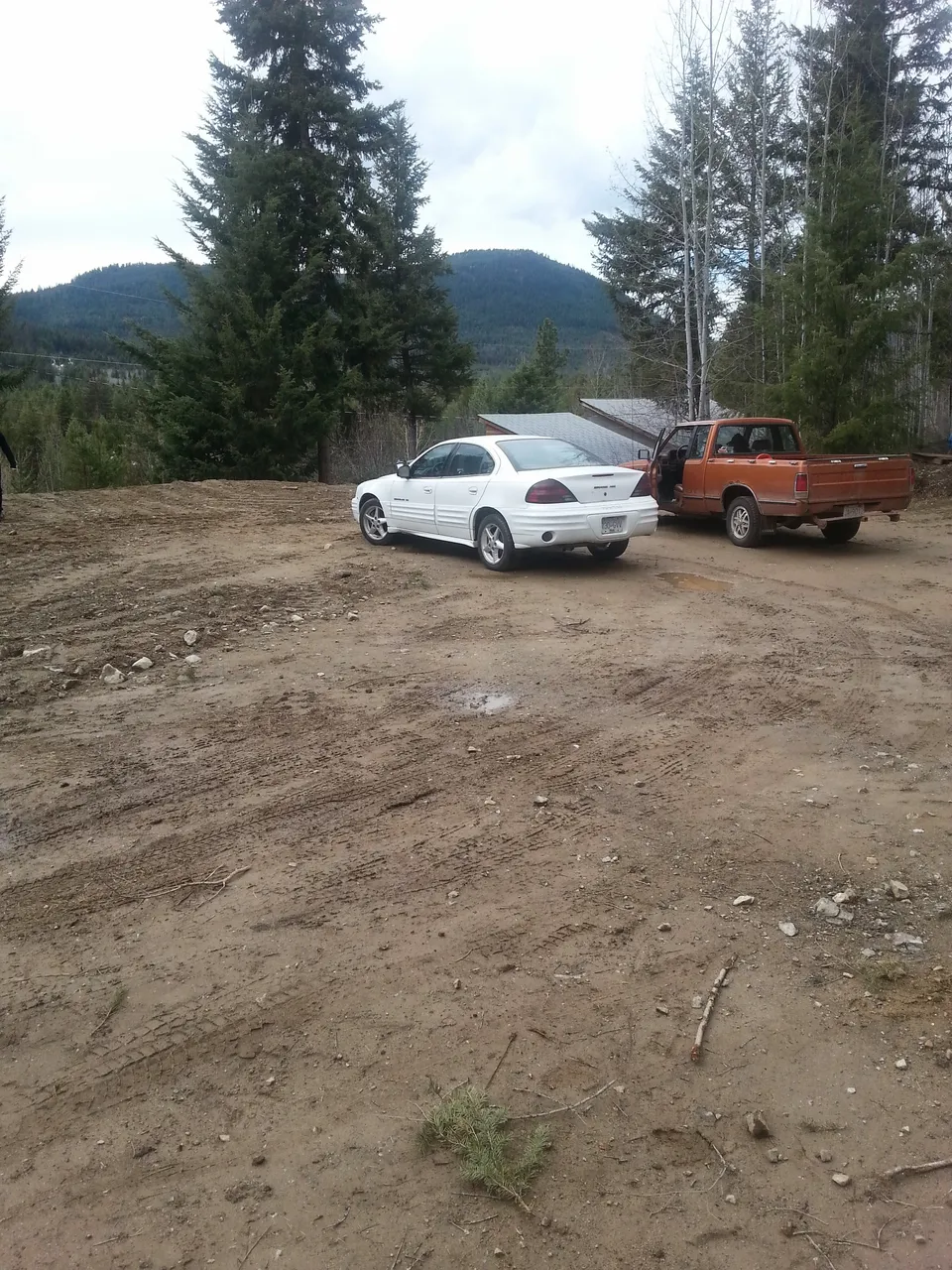 20150323_152029.jpg