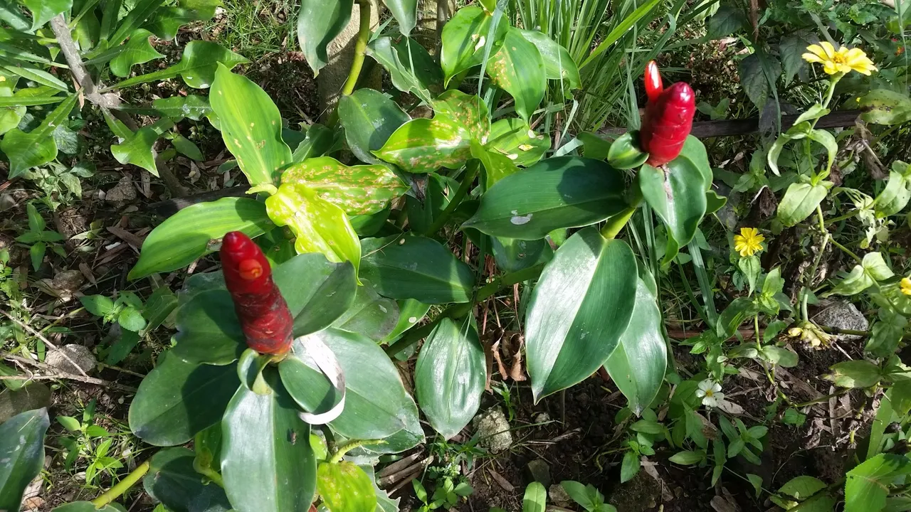 20170405_090140.jpg