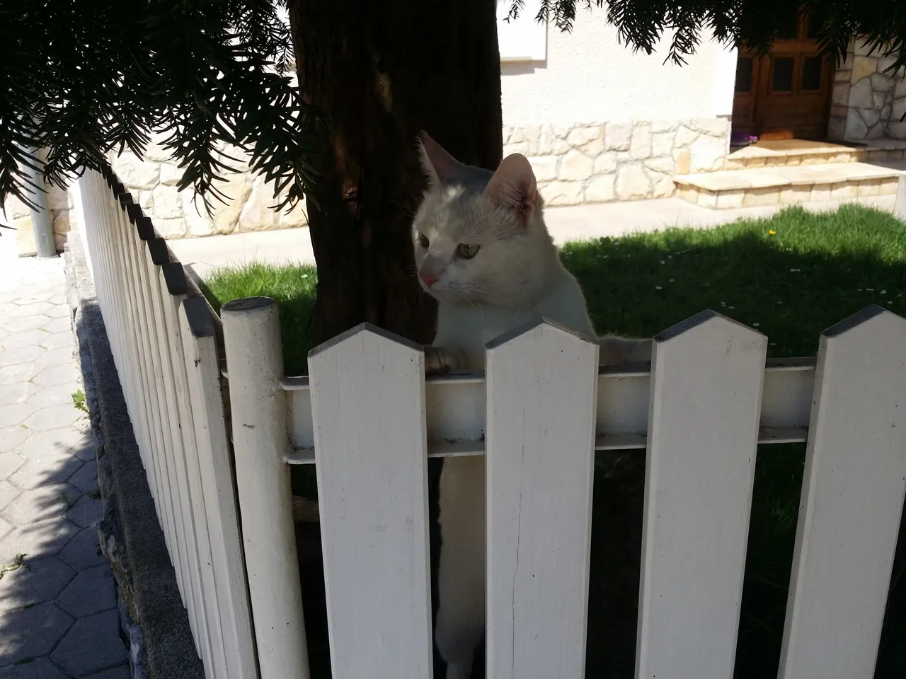20180420_133339.jpg