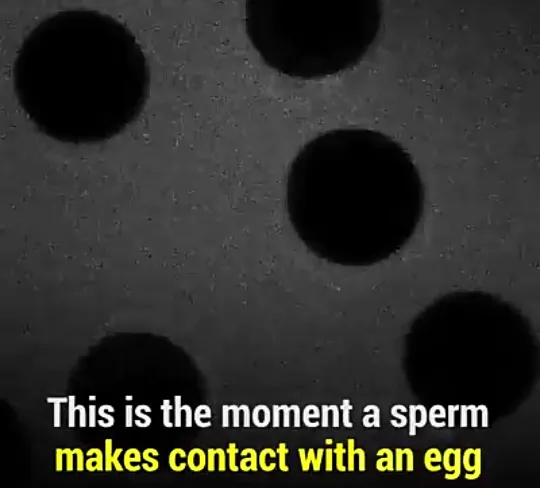 20180501_115533.png