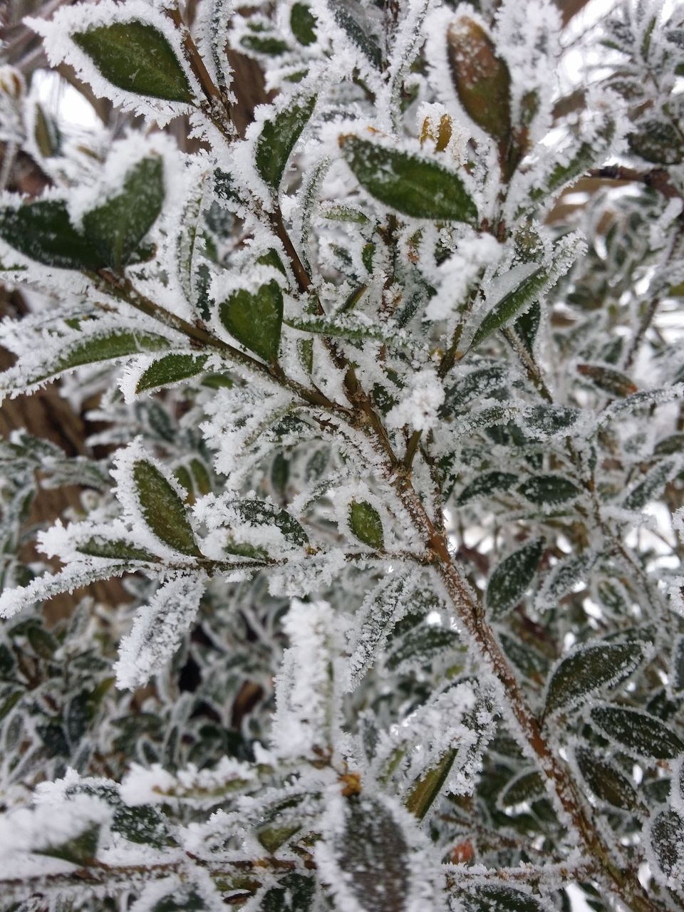 20180122_122233.jpg