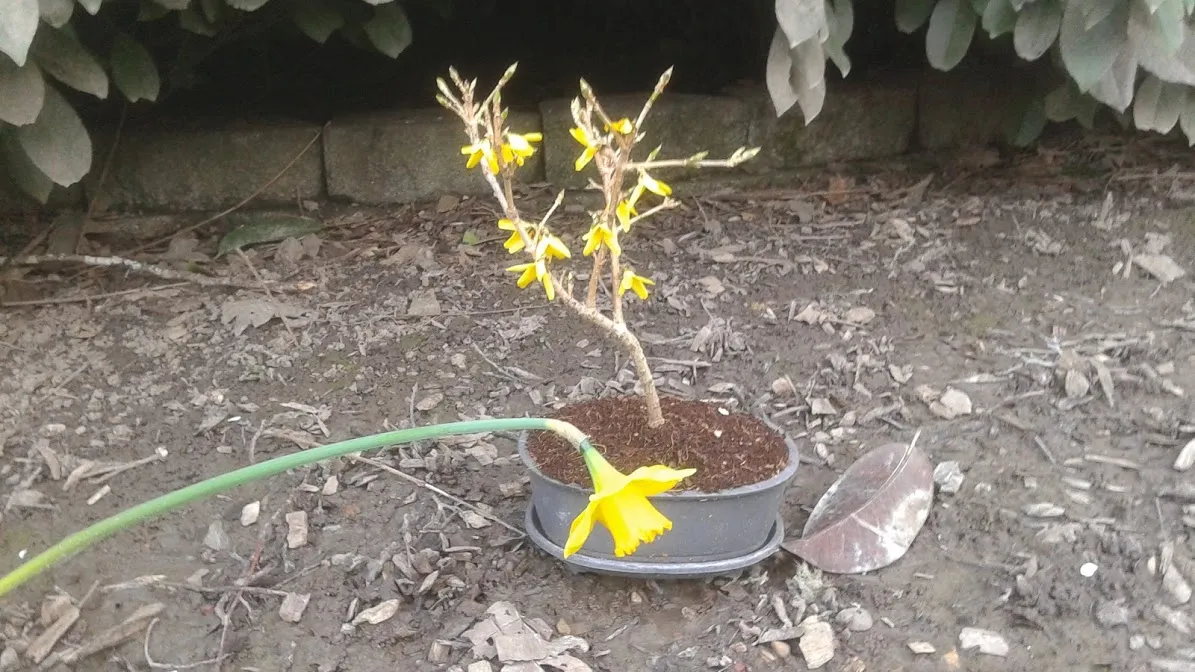20180311_175901.jpg
