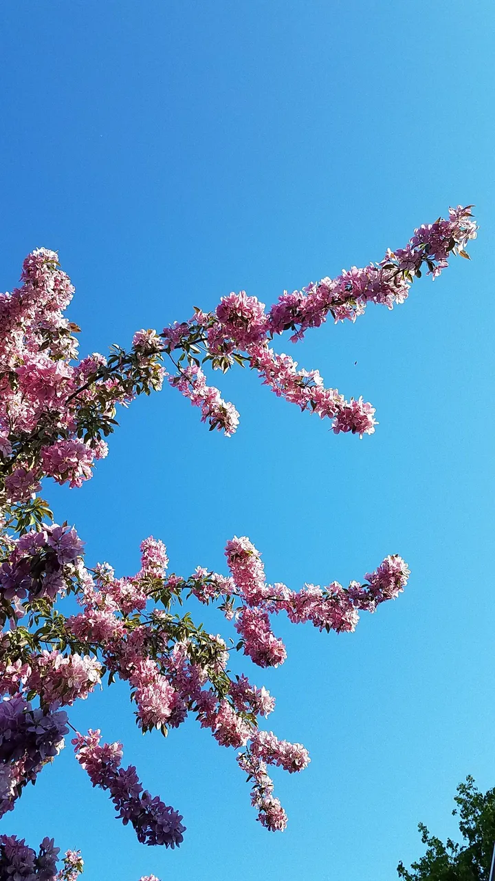 20180515_191305.jpg