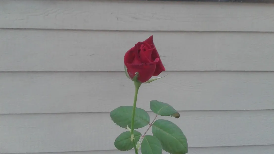 20170830_091203.jpg