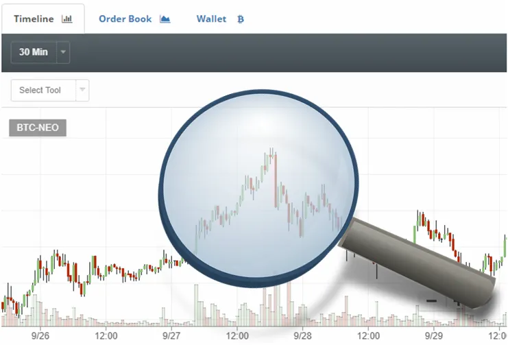 GRAPH MAGNIFY.png