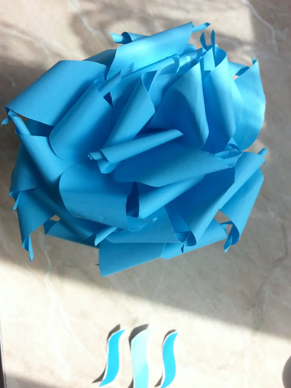 20160913_103344.jpg