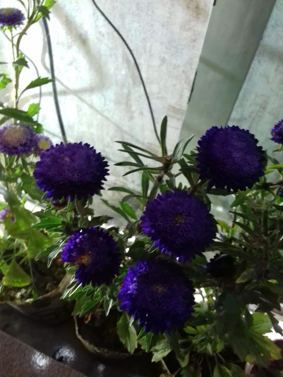20180328_214955.jpg