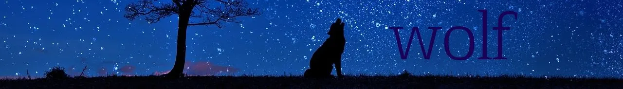 dog-647528_1280.jpg
