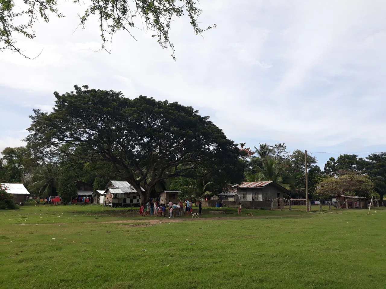 20180113_141206.jpg
