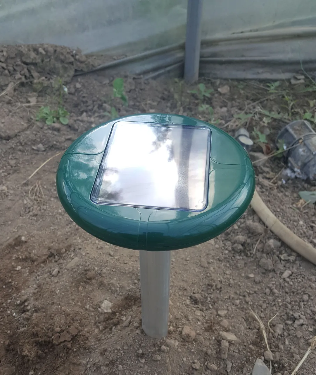 20180509_164135.jpg