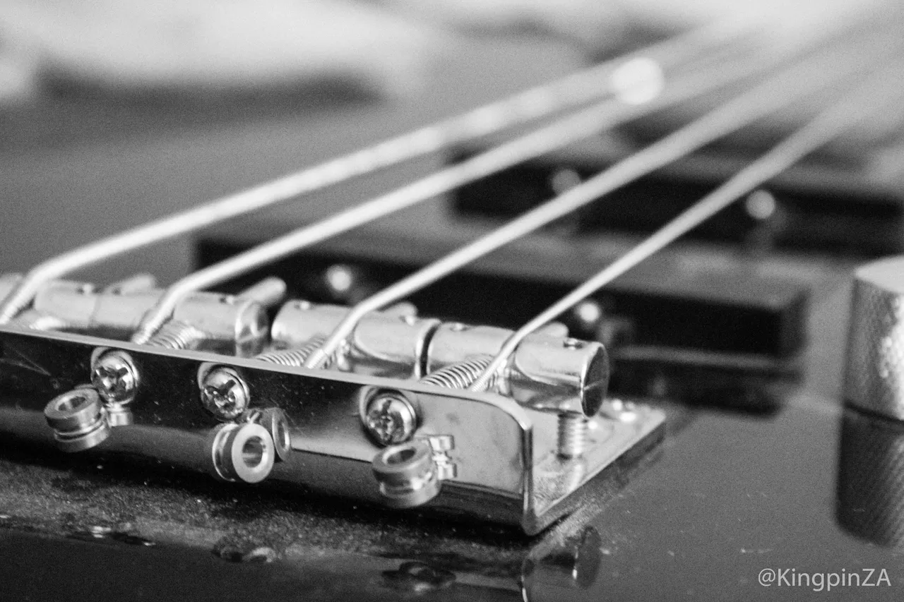 Bass Closeup1.jpg