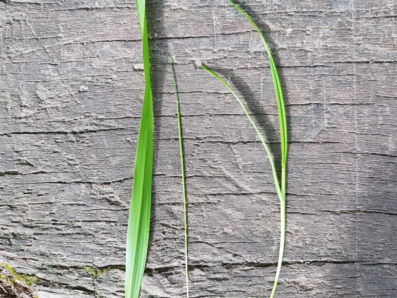 20180502_181411.jpg