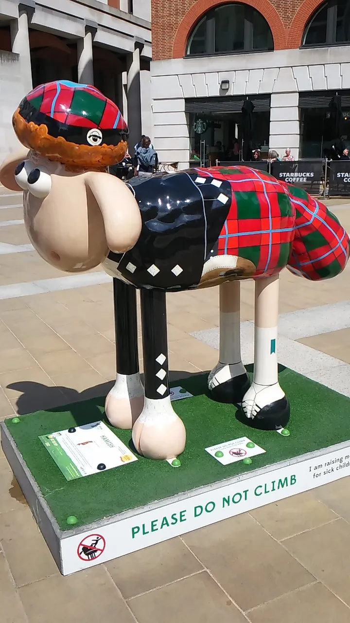 20150526_142556.jpg