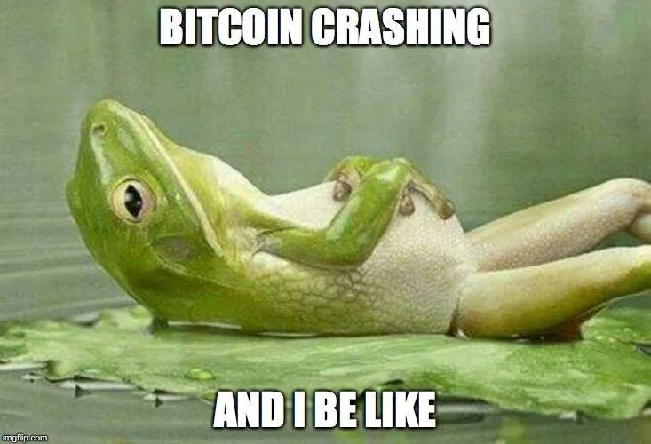 bitcoincrashing.jpg