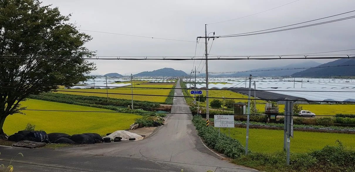20171002_121444.jpg
