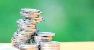coins-1-310x165.jpg