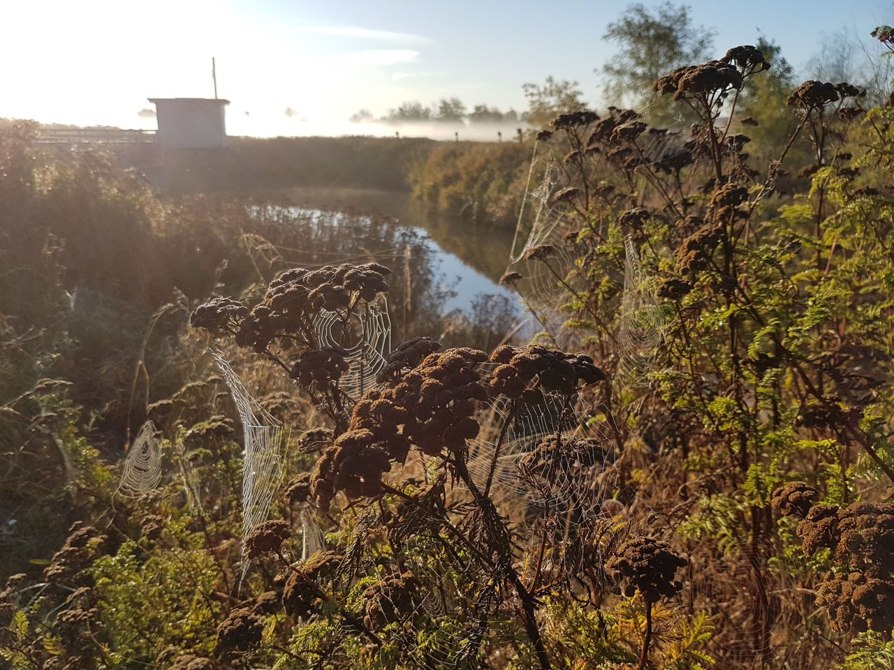20171004_082107.jpg