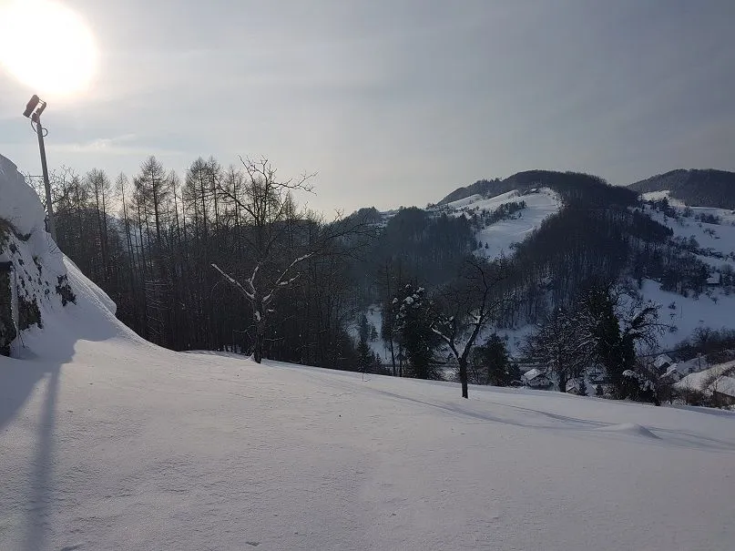 20180225_155405.jpg