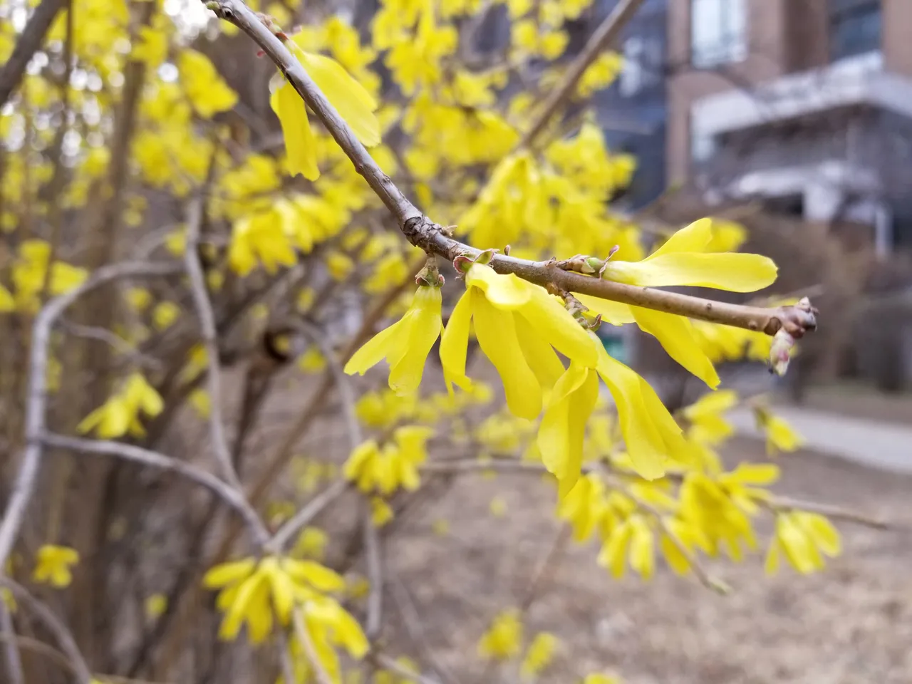 20180402_074152.jpg