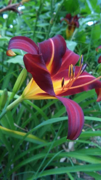 20170701_064133.jpg
