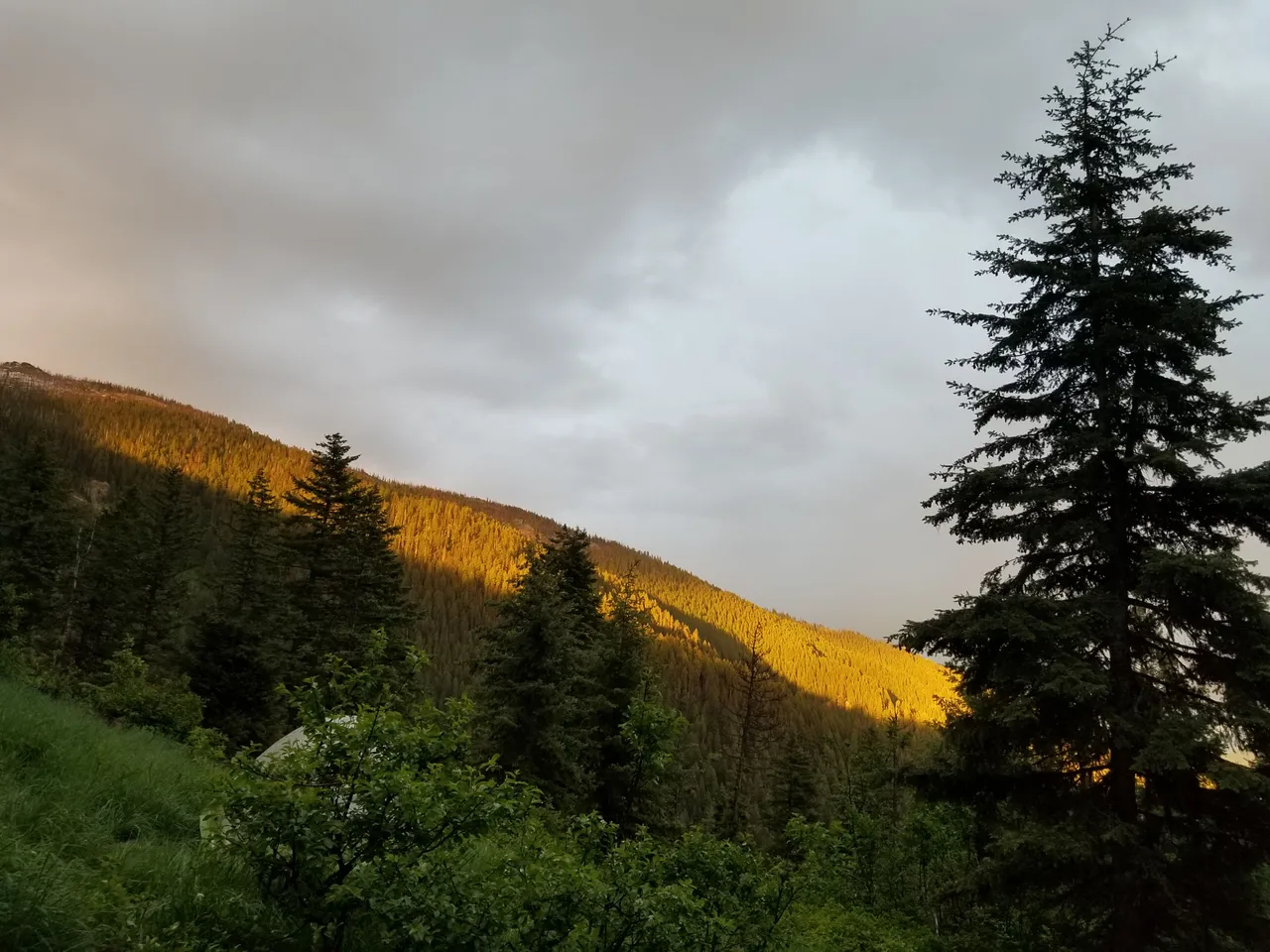 20170610_202313.jpg