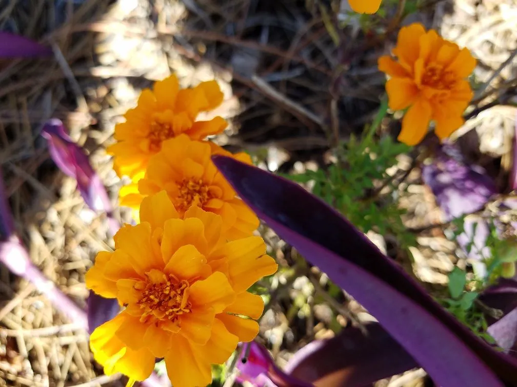 20180324_171748.jpg