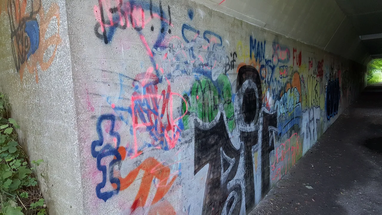 20170715_194412.jpg