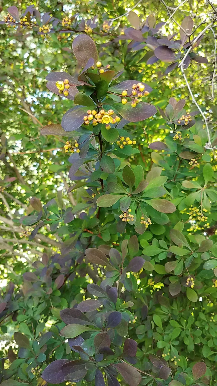 20180515_194025.jpg