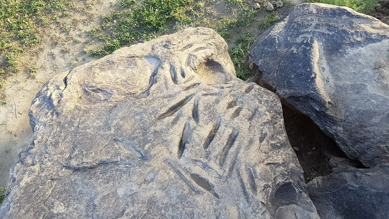 20160417_180639.jpg