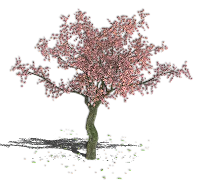 cherry_tree_uni.png