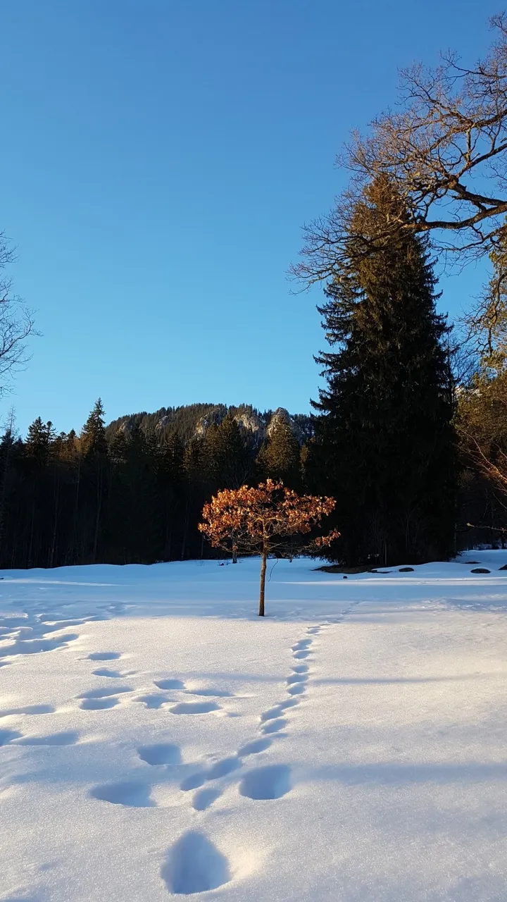 20170129_163422.jpg