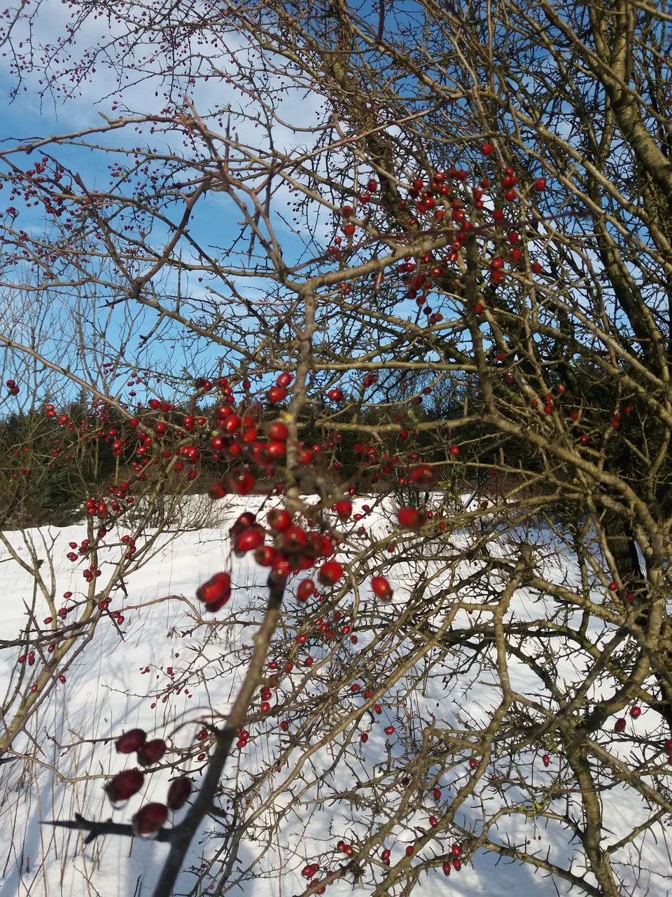 20180120_133132.jpg