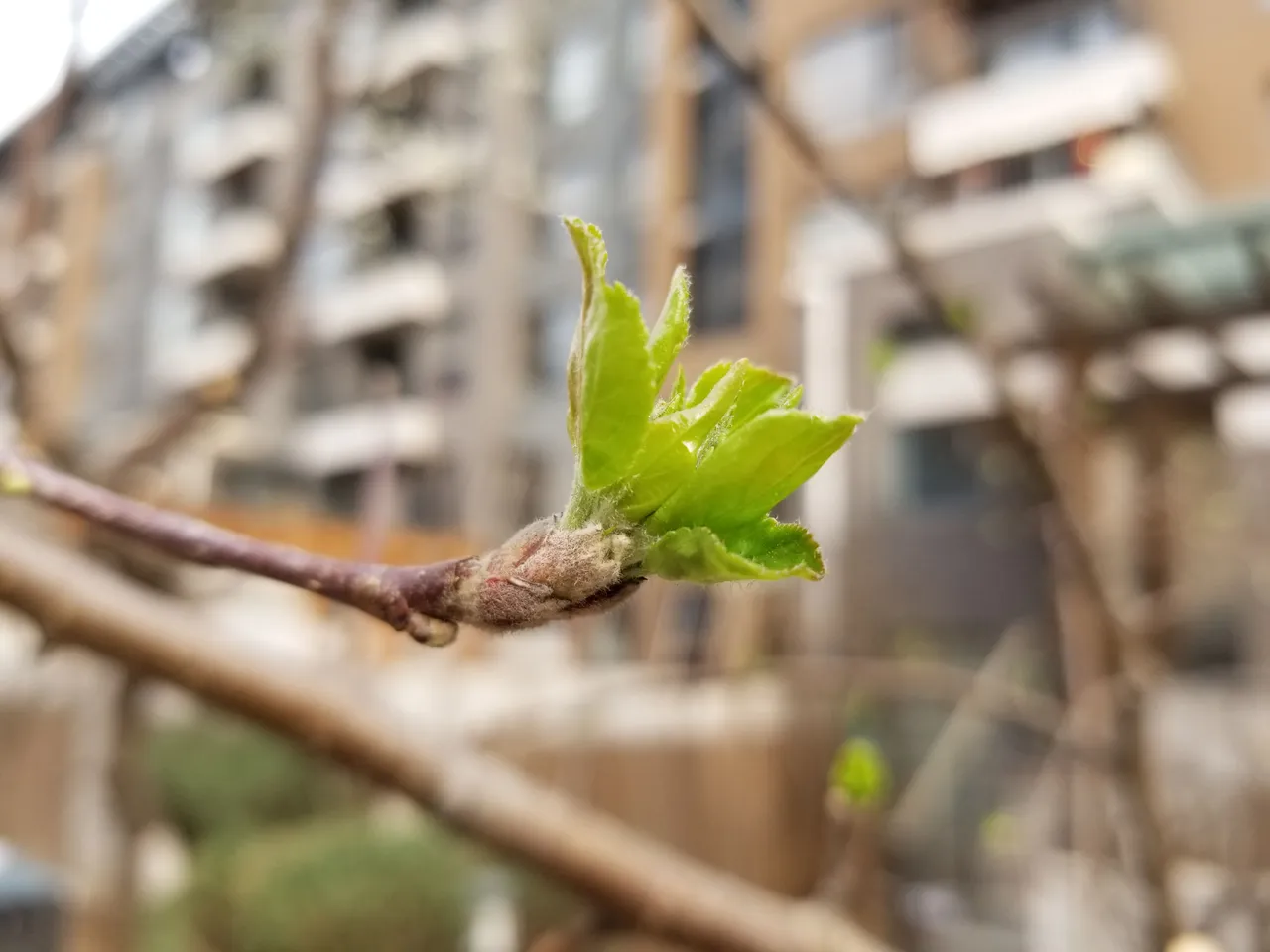 20180402_074323.jpg