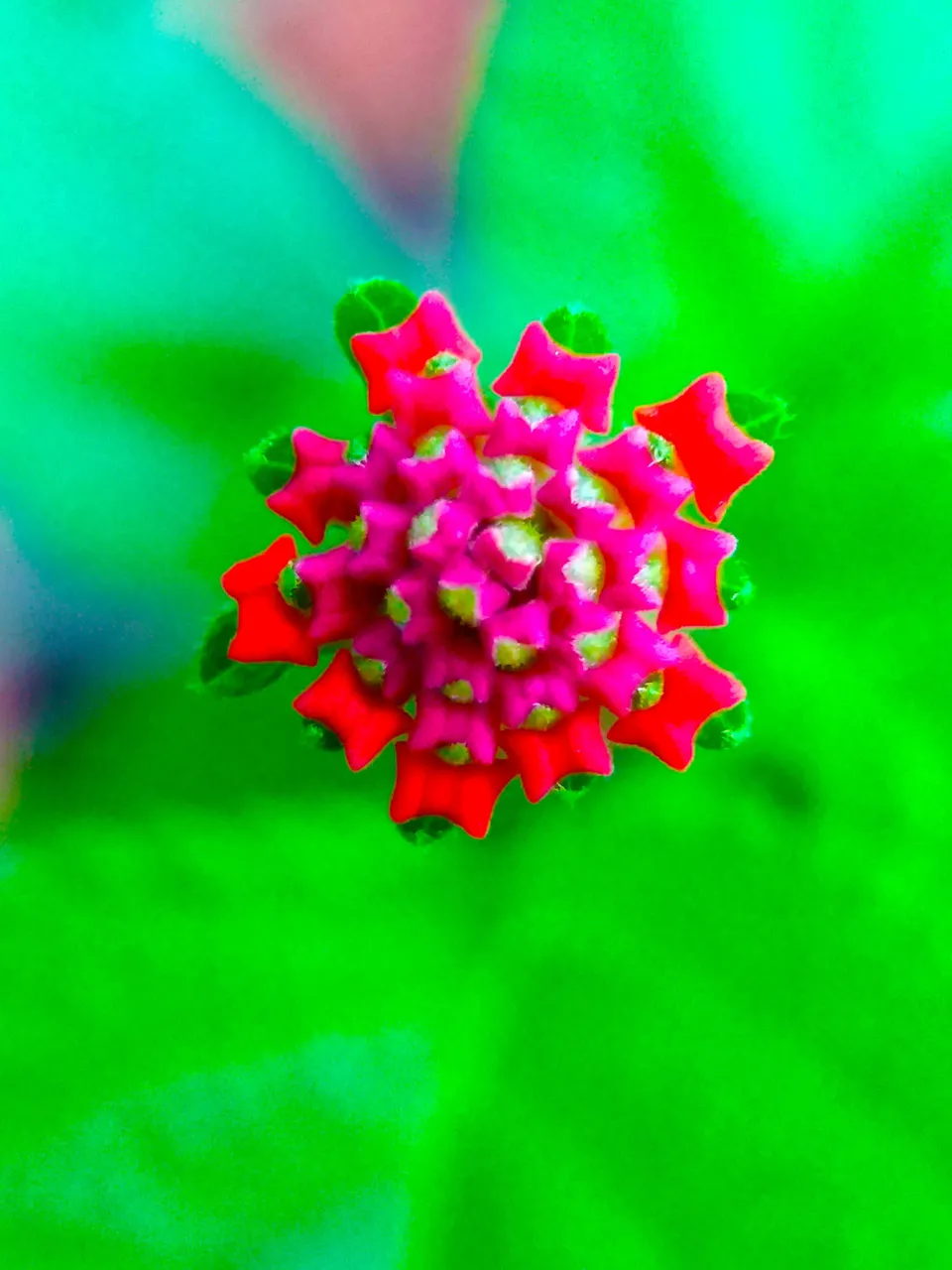 20180506_182940.jpg