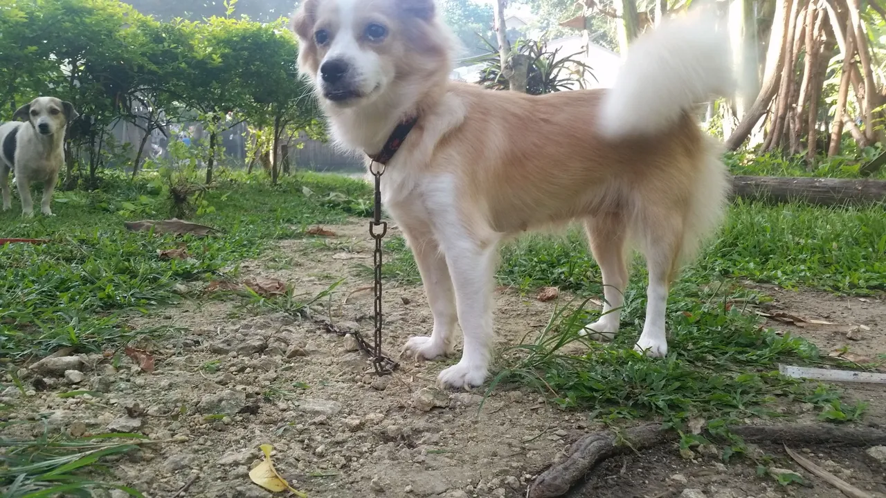 20170409_073908.jpg