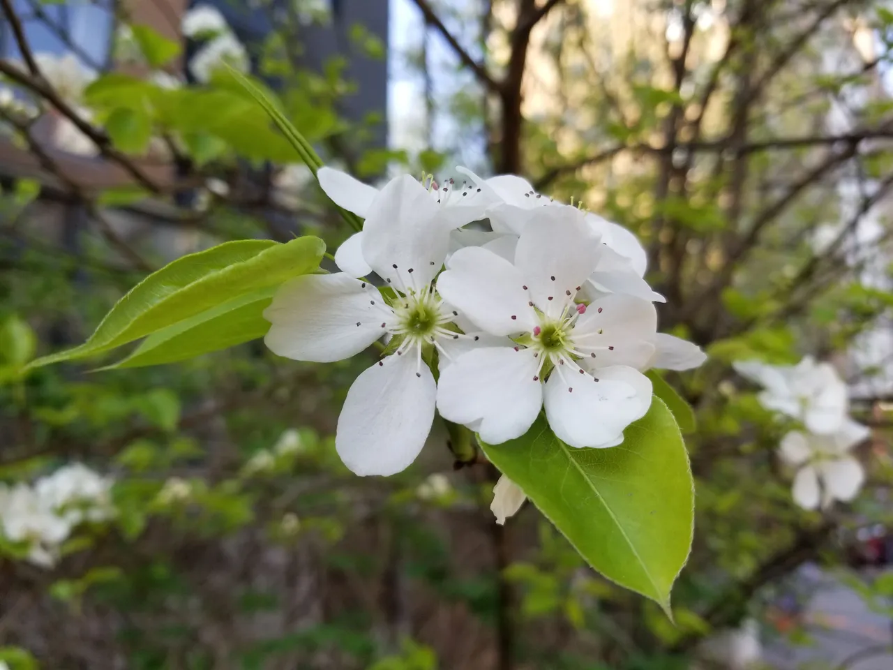 20180428_075329.jpg