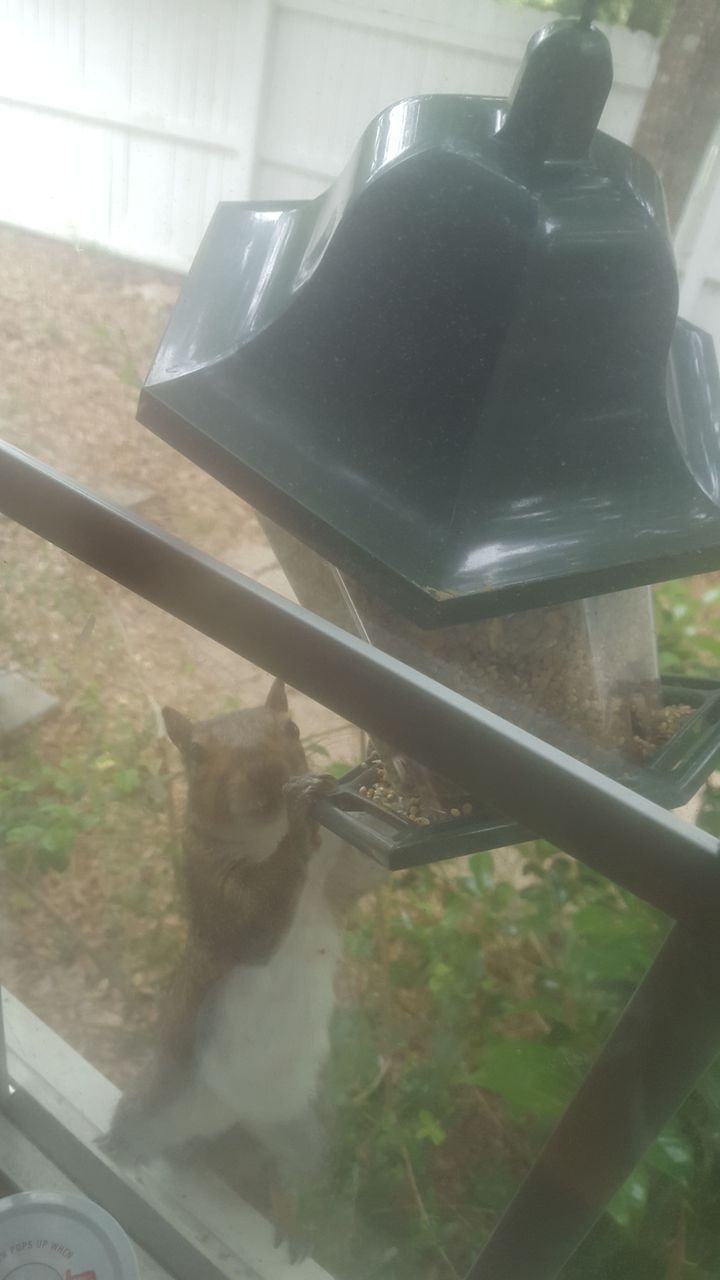 20170512_104151.jpg
