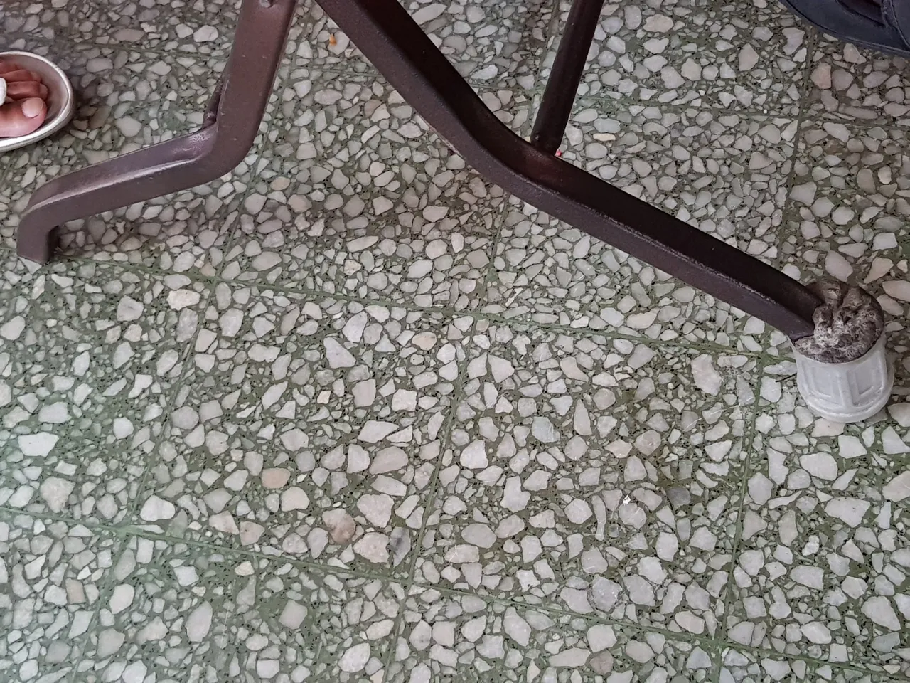20180223_134503.jpg